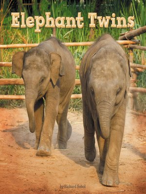 cover image of Elephant Twins